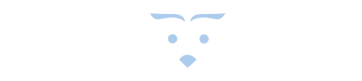 Strix Coding